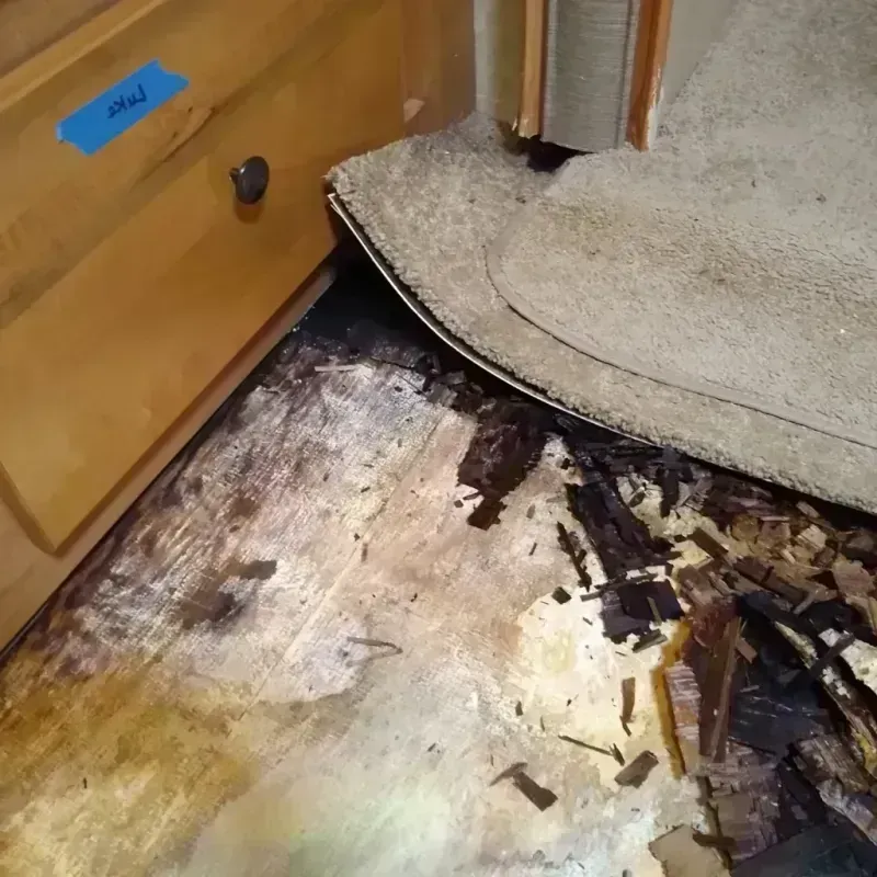 Wood Floor Water Damage in Bossier City, LA